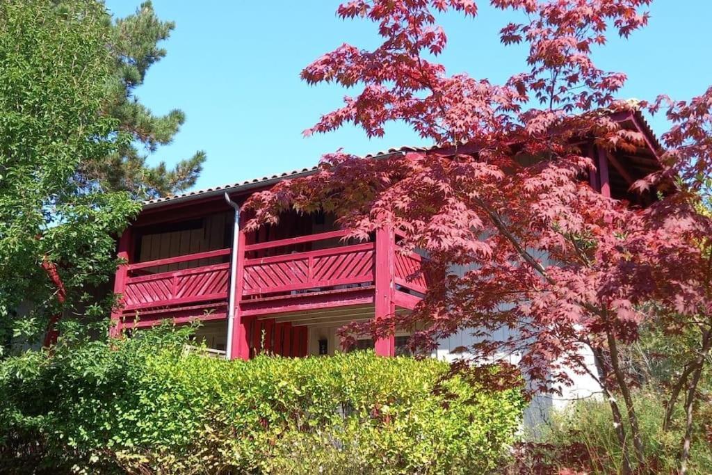 Le Hameau Des Vagues 4-5 Pers Piscines Et Nature A Moliets 外观 照片