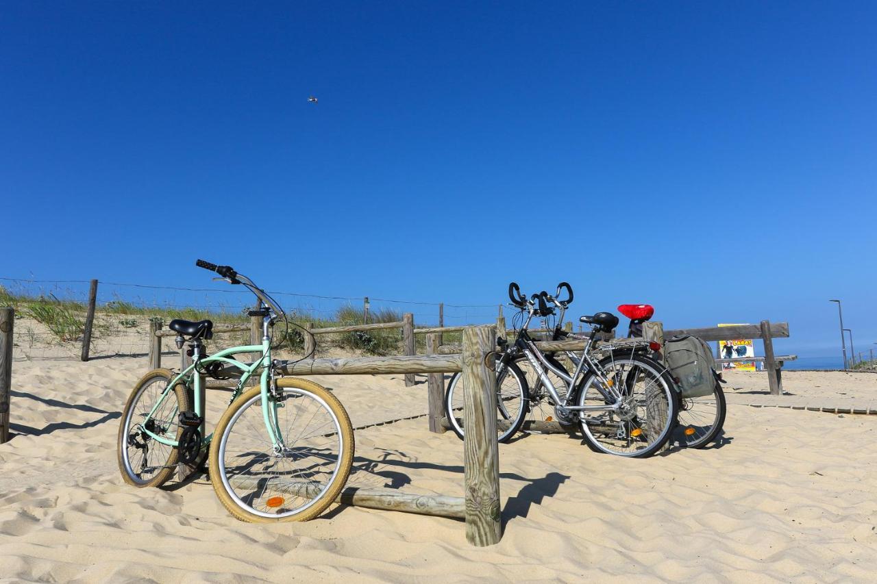 Le Hameau Des Vagues 4-5 Pers Piscines Et Nature A Moliets 外观 照片