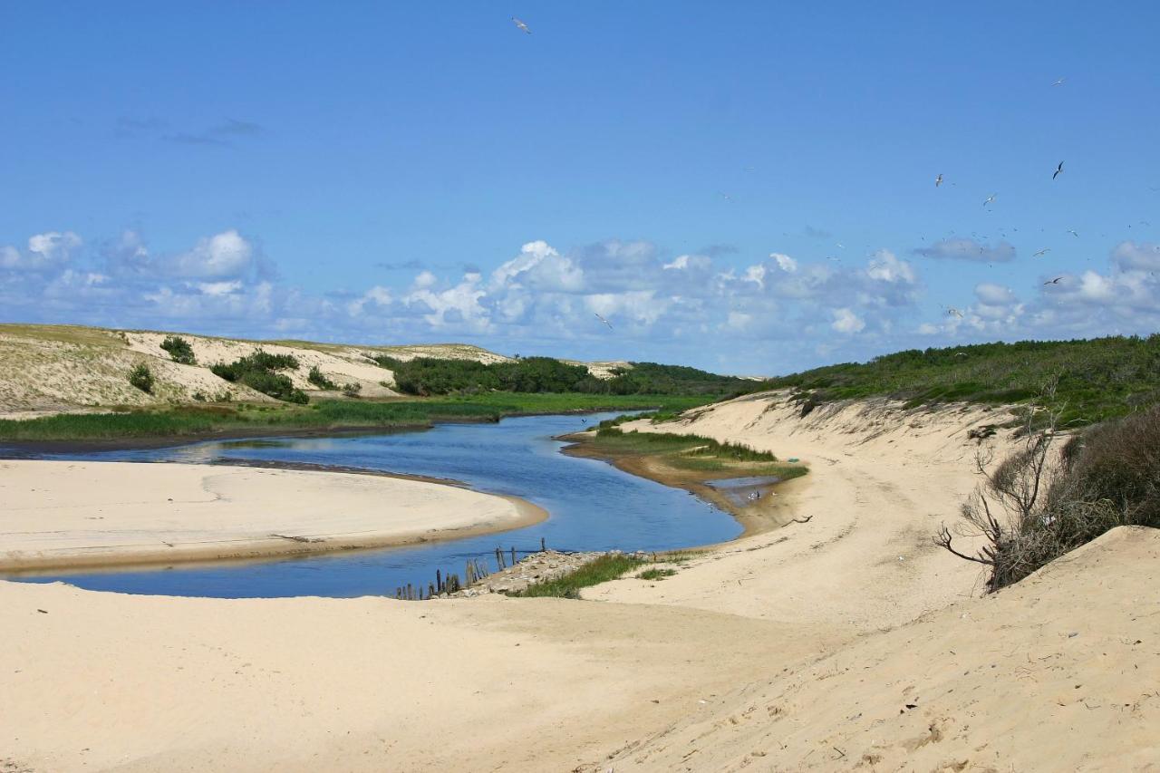 Le Hameau Des Vagues 4-5 Pers Piscines Et Nature A Moliets 外观 照片